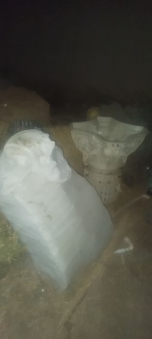 Римские калонна колипи 300 лик