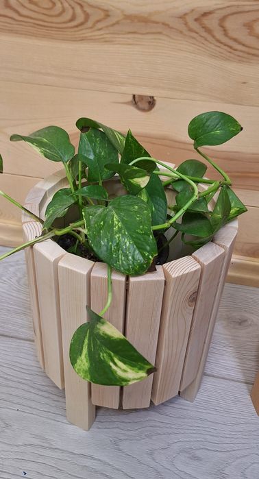 Кашпо и подставки для цветов