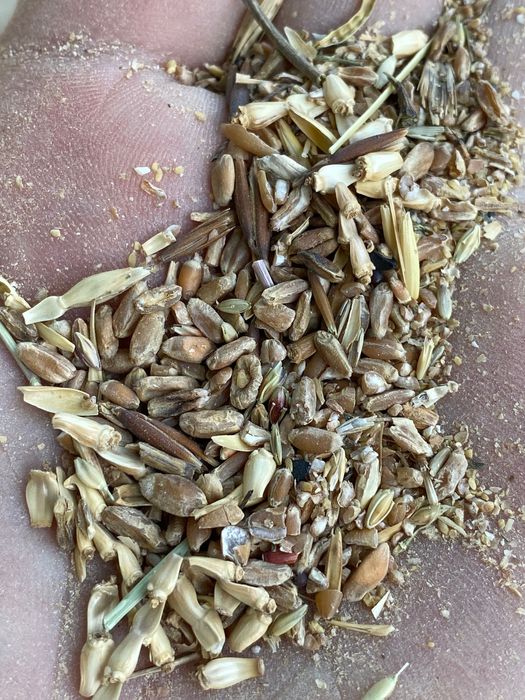 Зерно  отход  кепак ухшайди