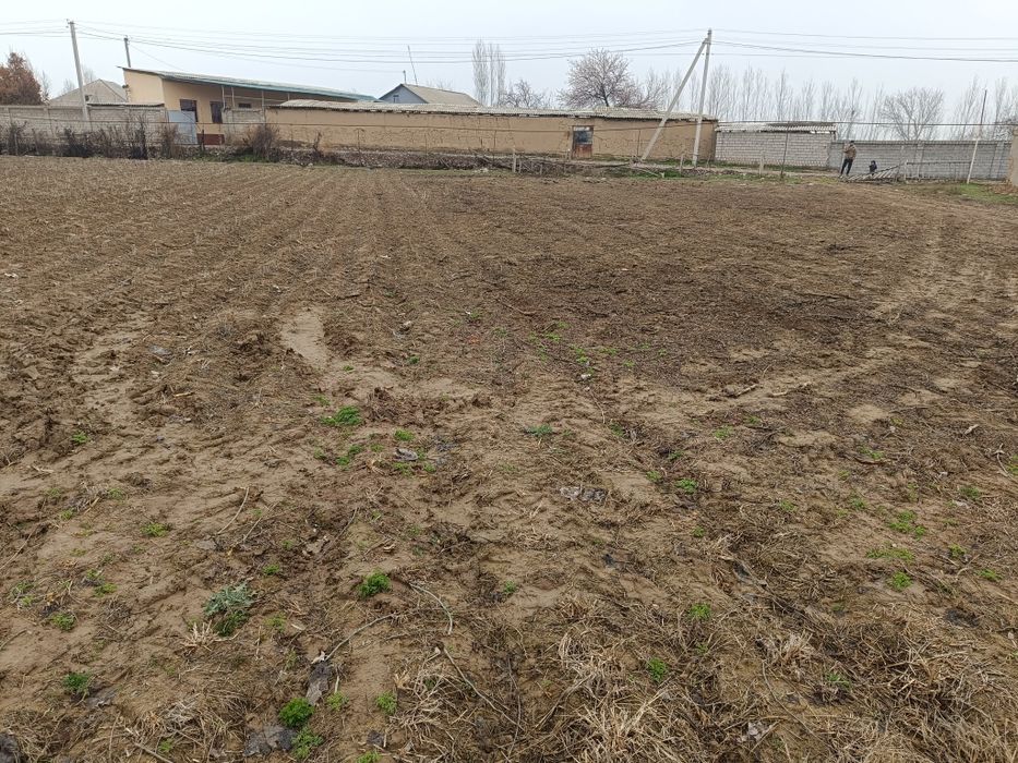 Участка 12 сотик