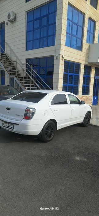 Кобалт миднайт 2026. Вариантга