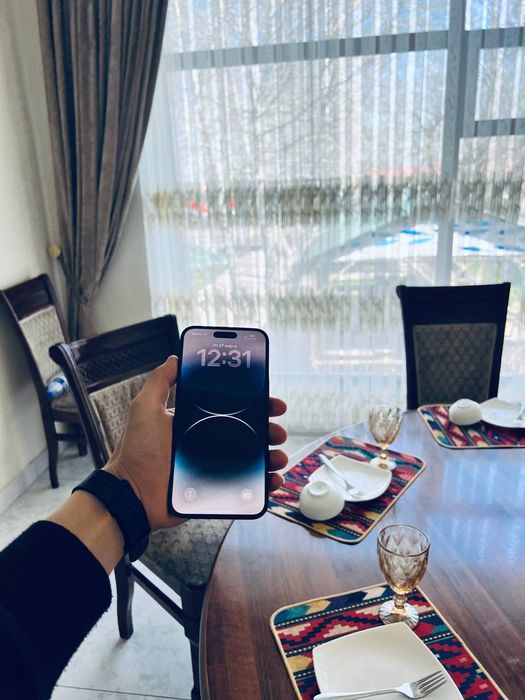 iPhone 14 pro max