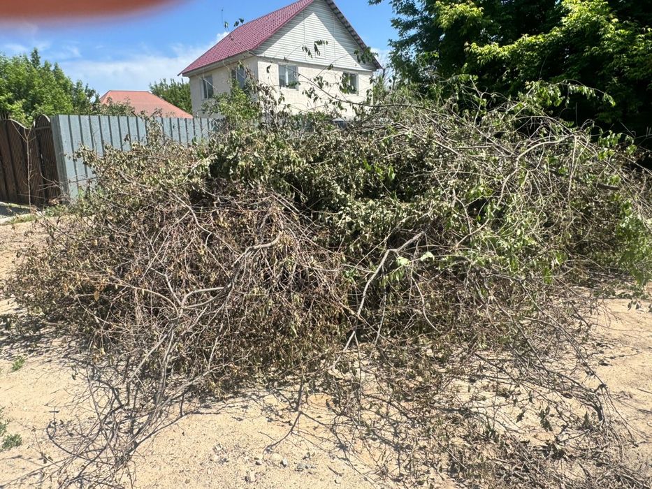 Дрова бесплатно Бурундай срочно