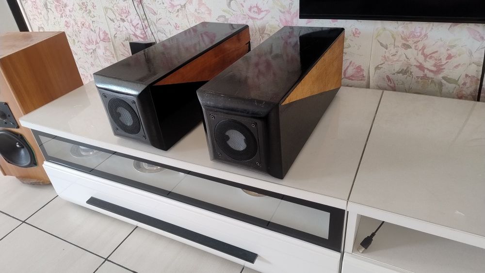 Accuton C220-T6 woofer + Sateliti