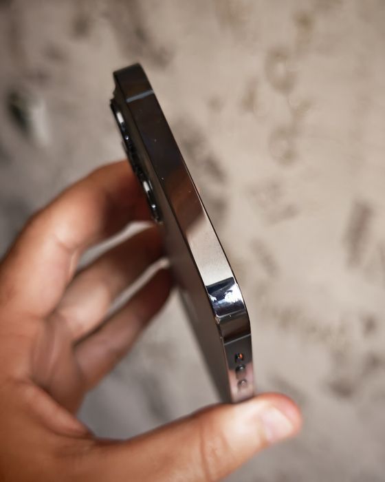 Iphone 13 pro max 512 gb цена на 1 день