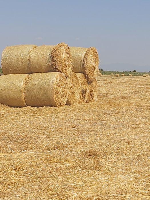 Продавам бали сено и чиста люцерна