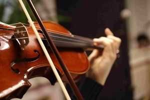 Научу играть на скрипке