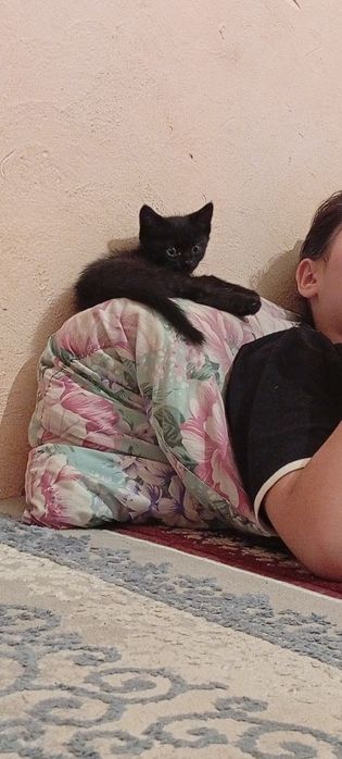 Мальчик Чёрная пантера