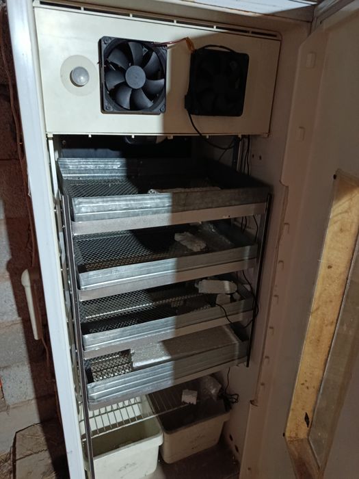 Инкубатор для яиц