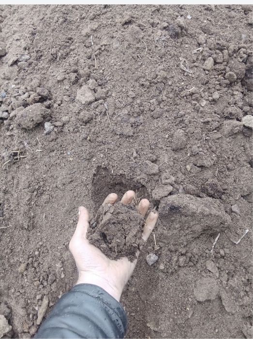 ПЕРЕГНОЙ отличного качества доставка