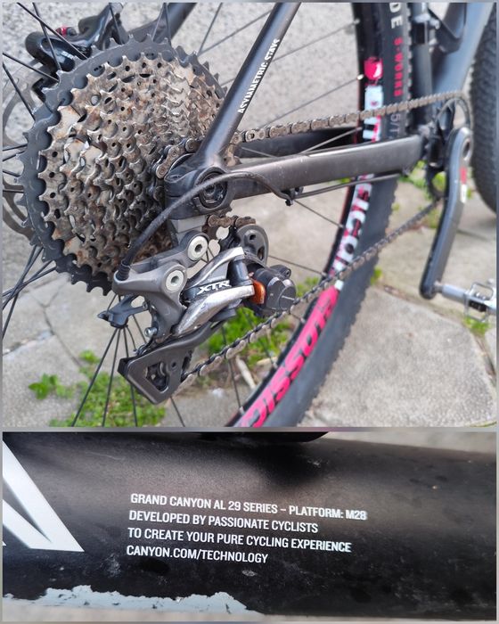 Grand Canyon AL F8 29er