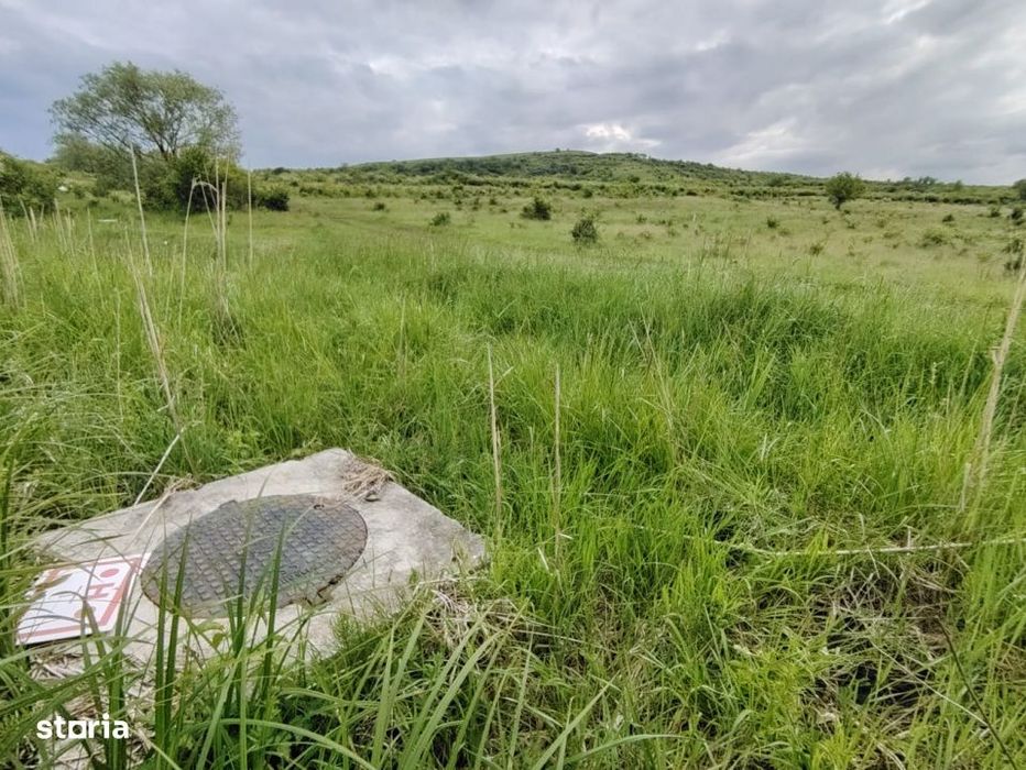 8.700 mp pentru dezvoltare rezidentiala la 3 km de CREIC - Chinteni