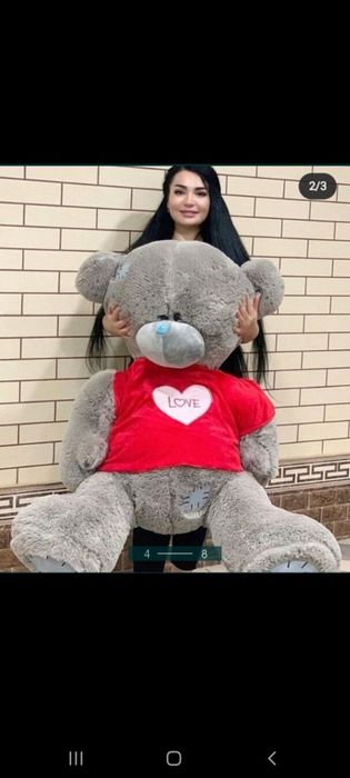 Teddy sifatli arzon narxda