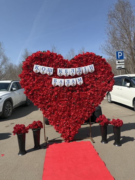 Выписка из роддома / Аниматоры