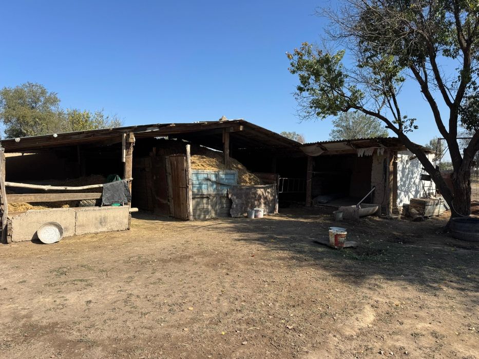 Үлкен үй.       .