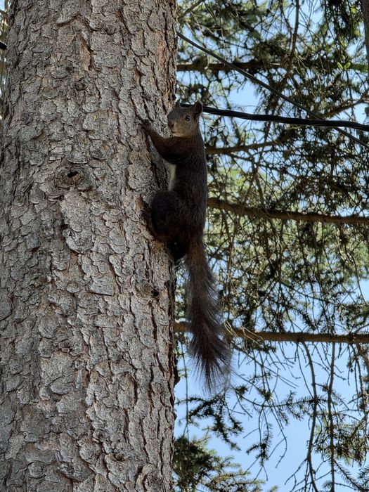 Къща за гости Дени/Deni guest house