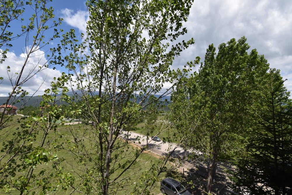 Продава се Двустаен апартамент в Банско - 58 кв.м за 997 €/кв.м - Снимка #7