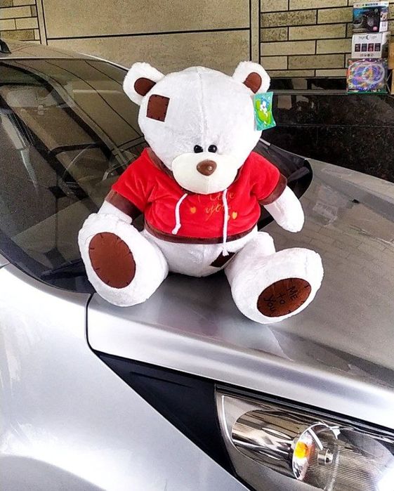 Teddy Teddy orginal Xitoy