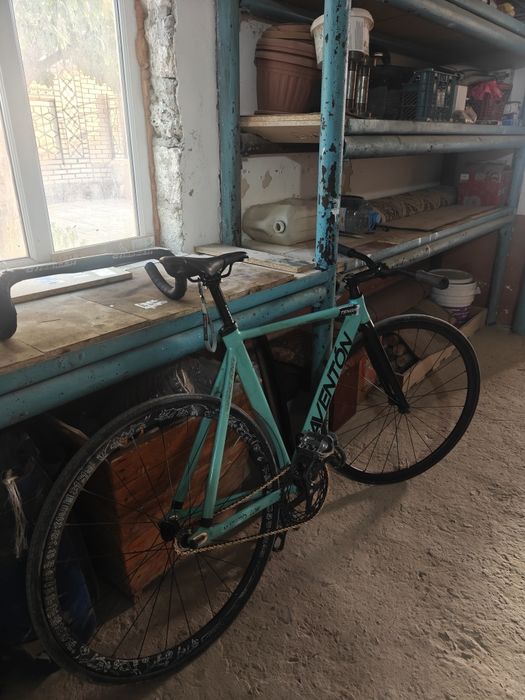 Aventon low mataro