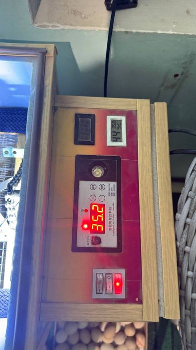 Inkubator 65 talik