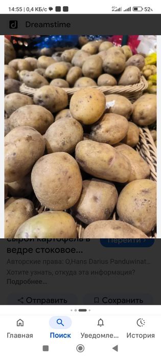 Картофель домашний