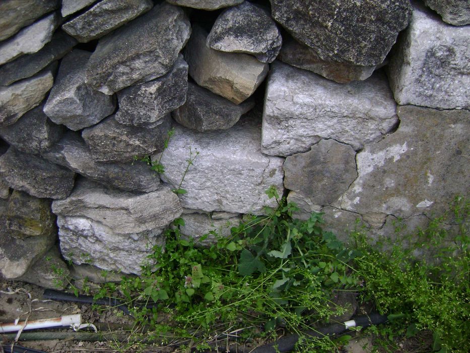 Дялани стъпала от камък