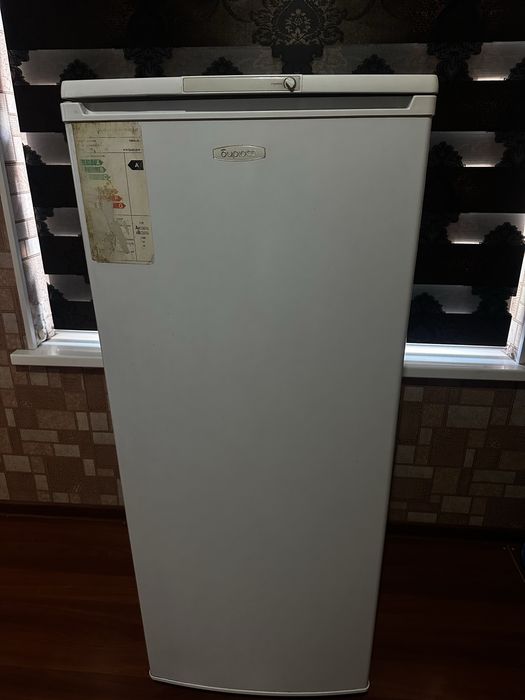 Холодилник бирюса