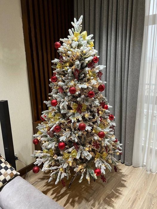 Ёлки северные заснеженные