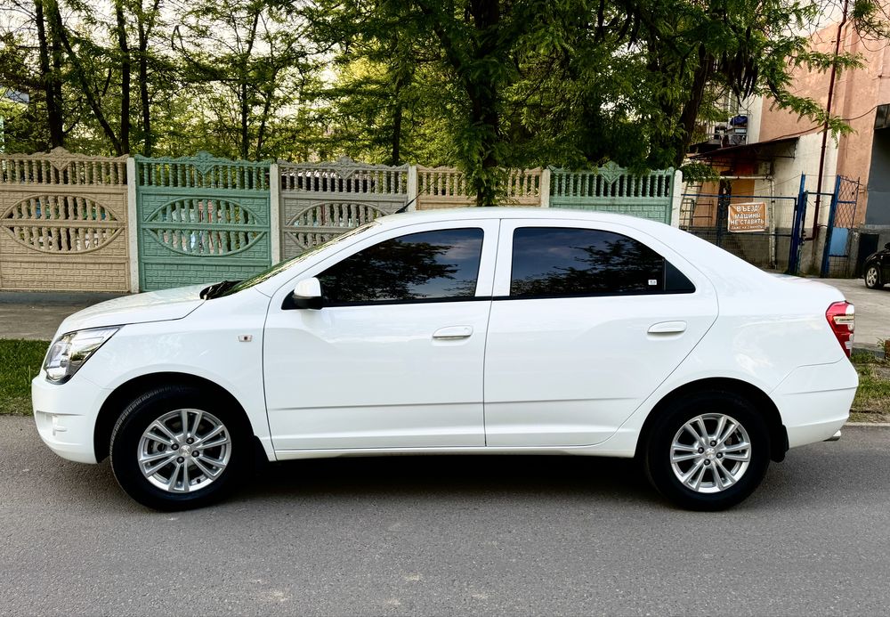 Cobalt MCM Ideal Toza Moshina