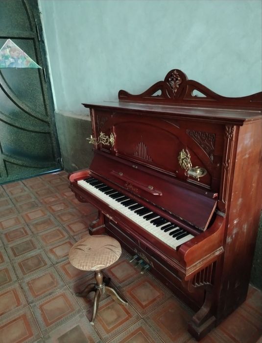 Piyanina sotiladi