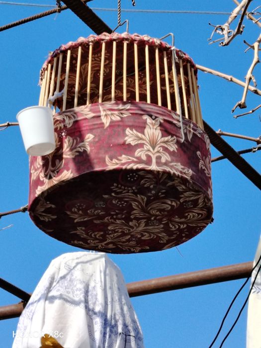 Сайроки  Беданалар ЧИРЧИКДА СОТИЛАДИ