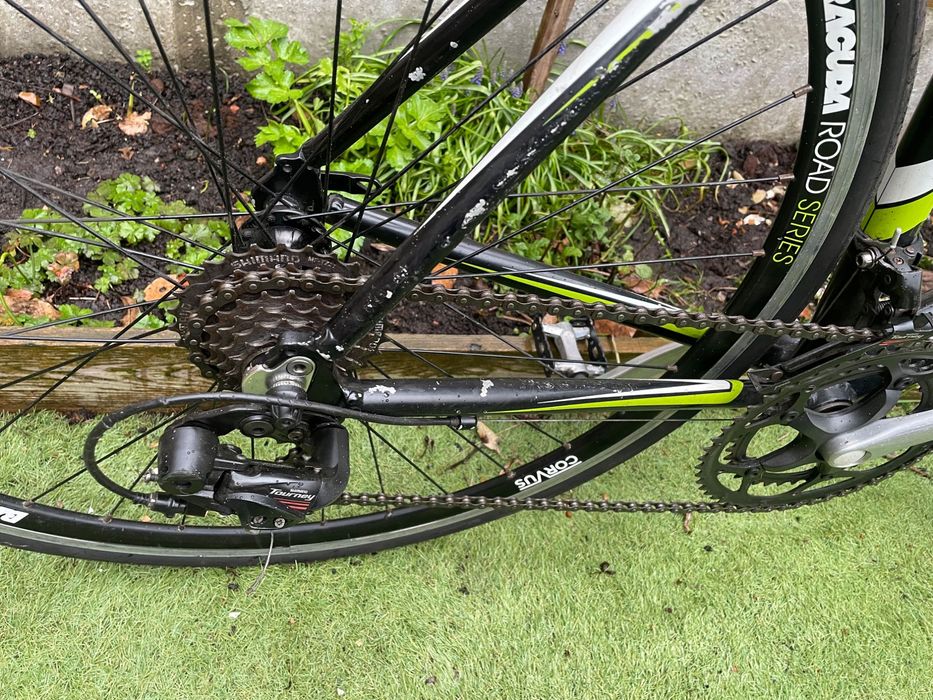 Шосеен бегач barracuda