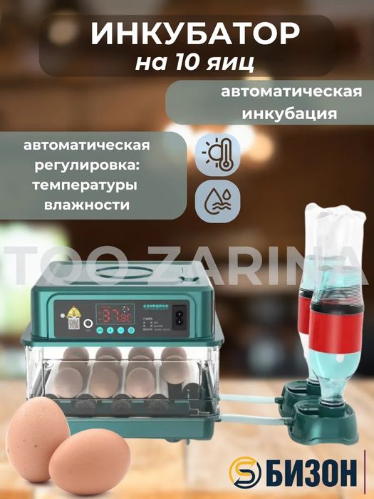 Миниинкубатор озон на 11 яиц