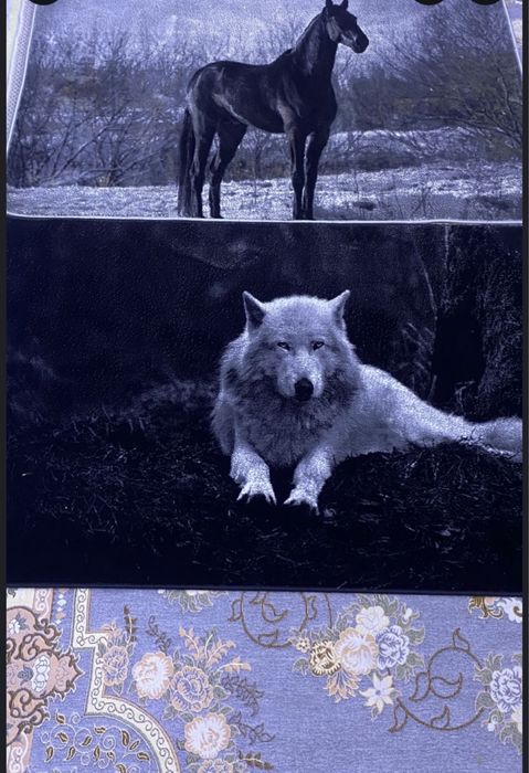 канарейки обмен.