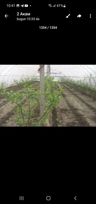 теплиса сотилади энига 12 метр узунлиги 38 метр 1сотиги 450000 минг