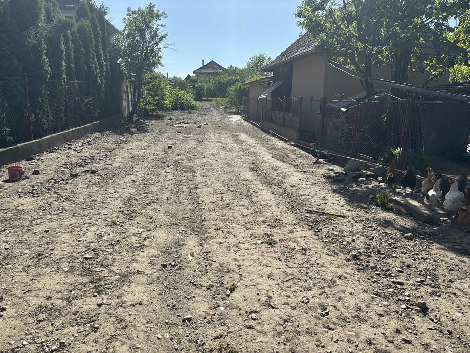 Vand teren in campia turzii