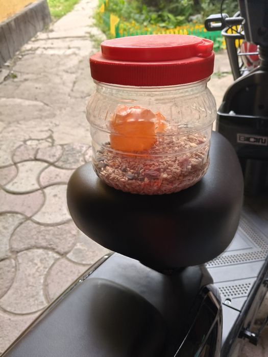 Продам клетку для хомячка