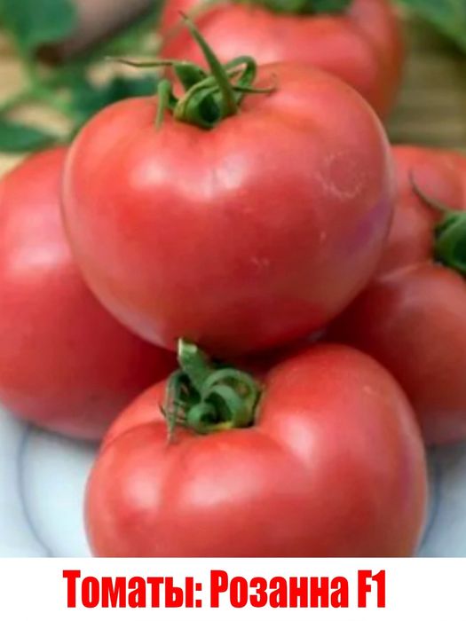 Продам рассаду огурцов и помидор