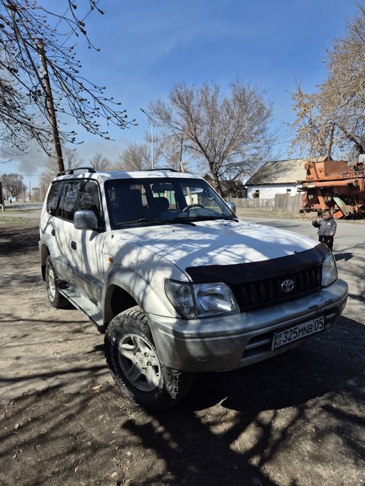 Прадо 95 prado tlcp