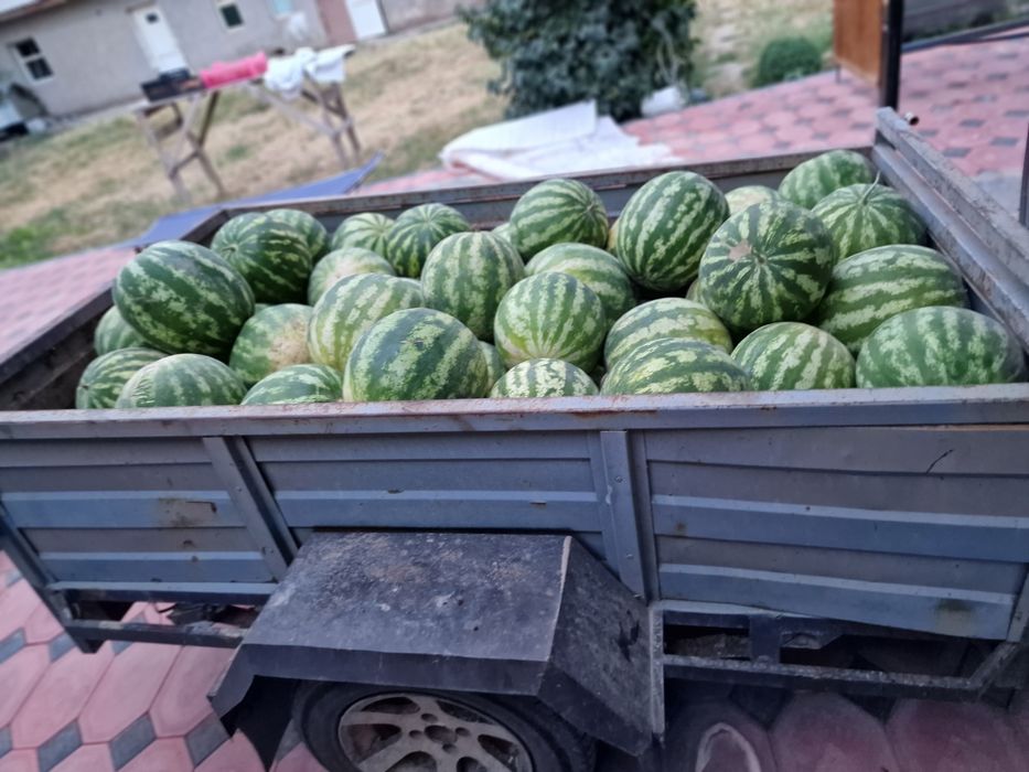 Перевозка жүк тасымалдау