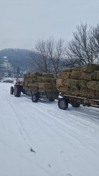 Vând baloti lucernă și otava