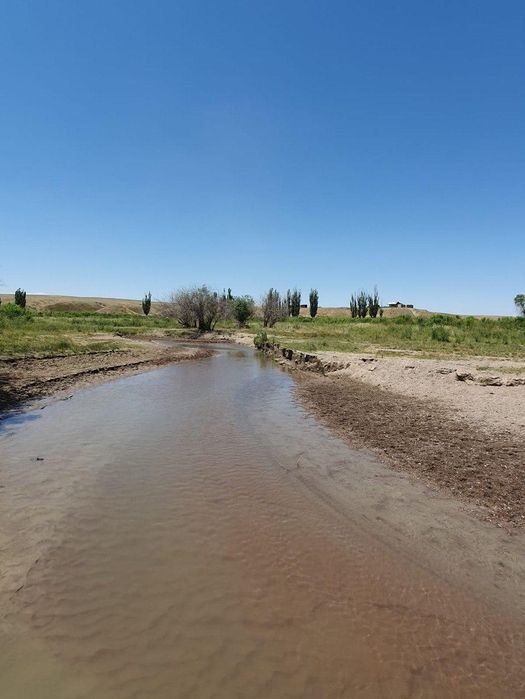 КХ , 150 га , Мынбаев - Айкым