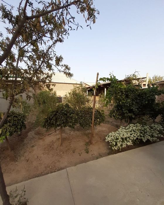 Срочно. Термиз шахрида ховли сотилади