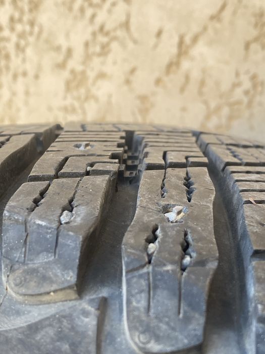 Зимние балон r19 goodyear byd equinox