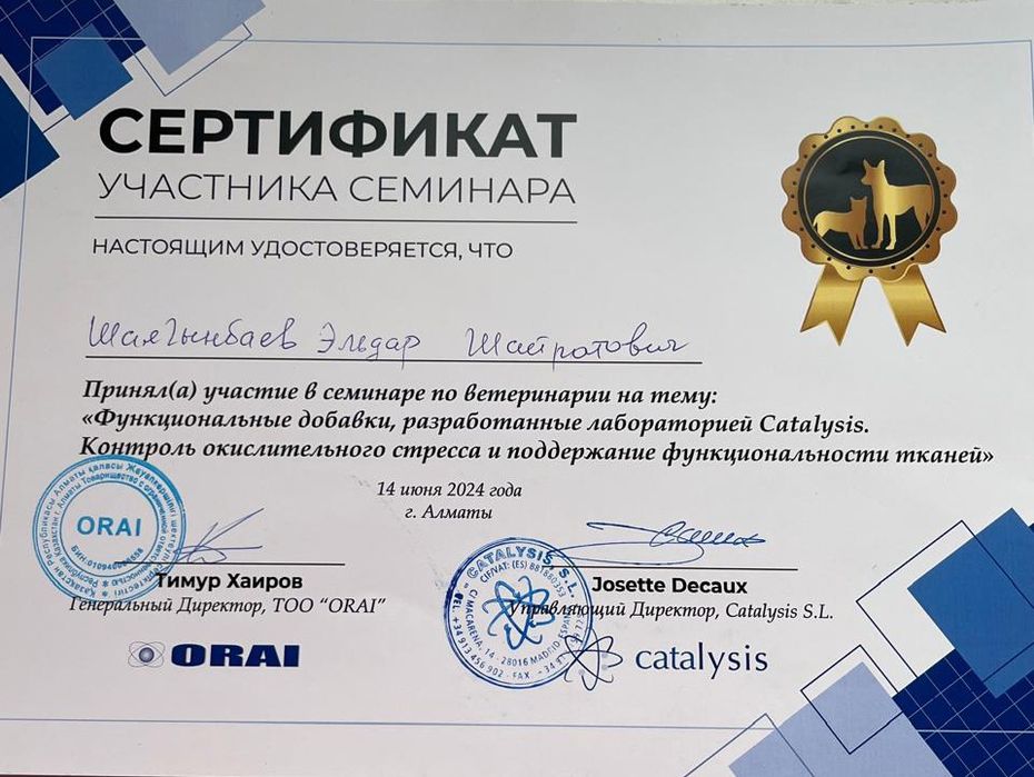 Ветеринар на дом. Ветеринар на выезд.
