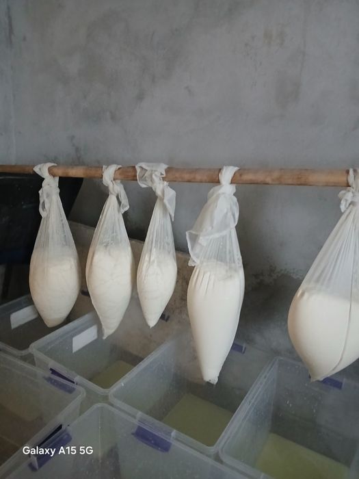 Vând  branza vaca  cantități mici și mari