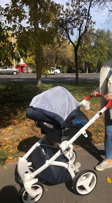 Коляска 3в1 Adamex Massimo Sport