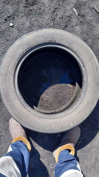 Продам шины 3 штук.