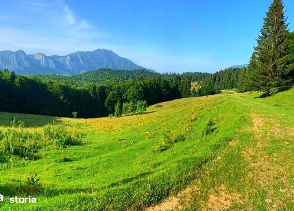 Teren Predeal Trei Brazi