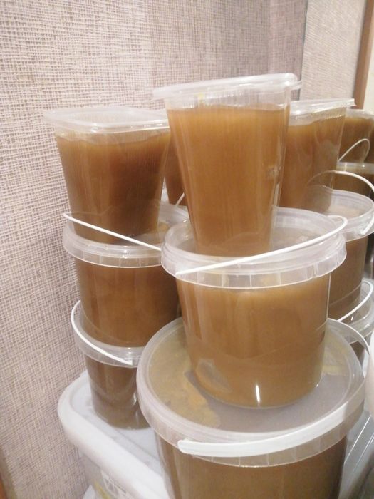 Мёд мёд мёд мед мёд мёд